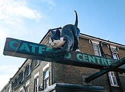 Catford taxi passenger travelling with Bluebird Cars