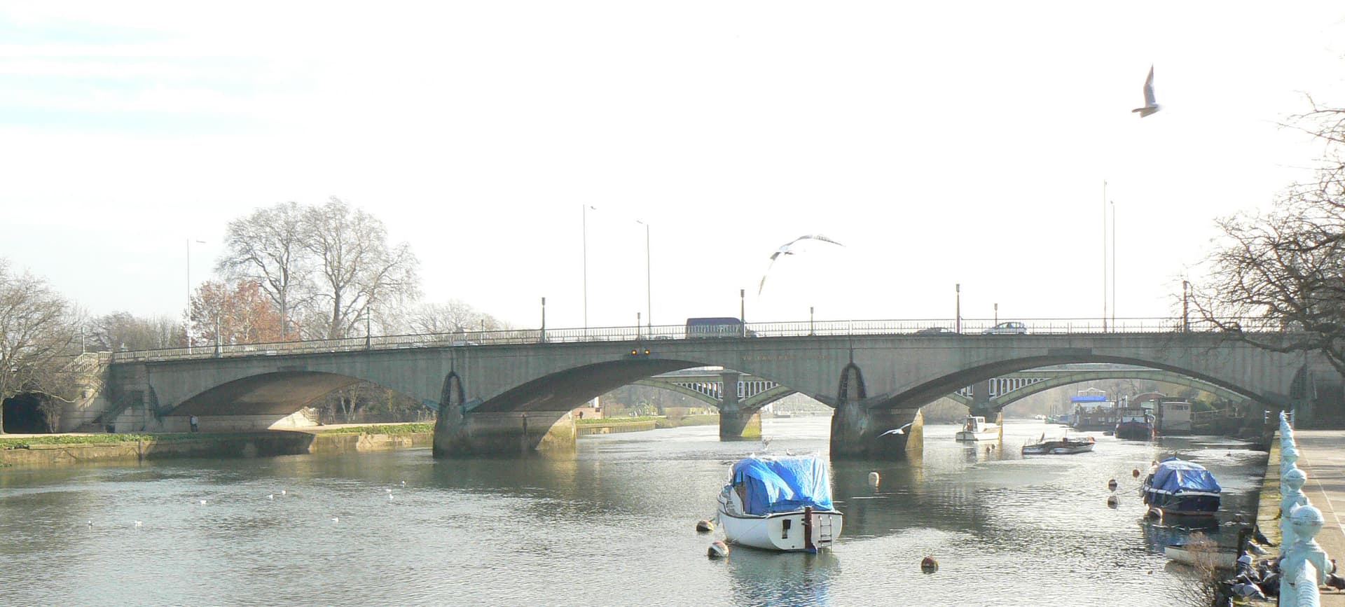 Twickenham taxi passenger travelling with Bluebird Cars